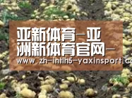 种植基地七
