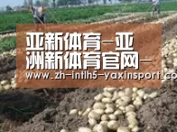 种植基地七(图1)