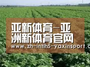 种植基地五