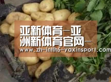 产品展示标题4