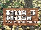 种植基地八(图1)
