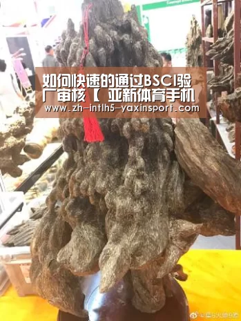 如何快速的通过BSCI验厂审核【 亚新体育手机应用】(图3) 亚新体育App下载