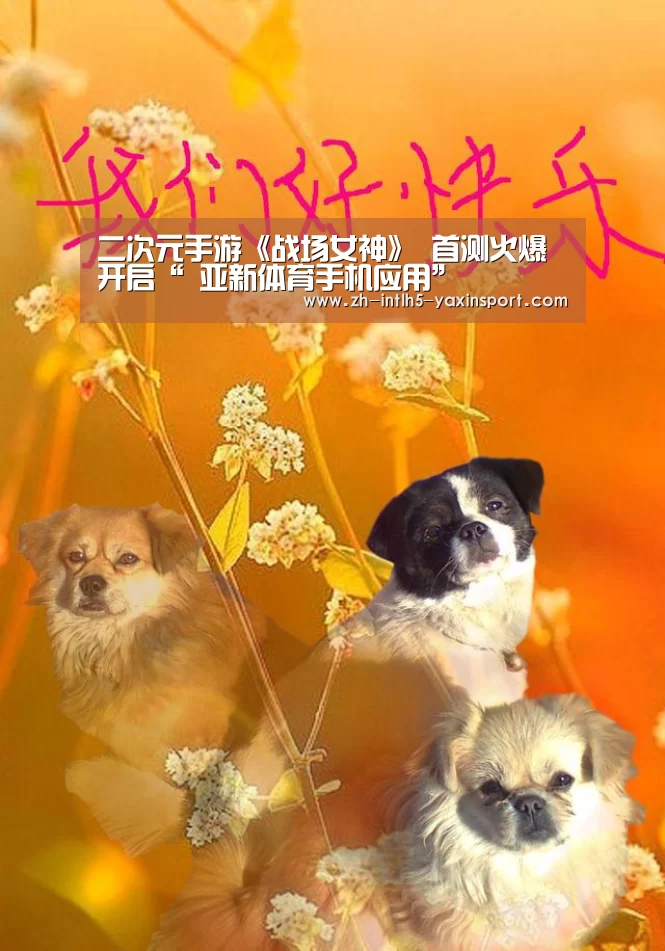 二次元手游《战场女神》 首测火爆开启“ 亚新体育手机应用”(图3) 亚新体育App下载