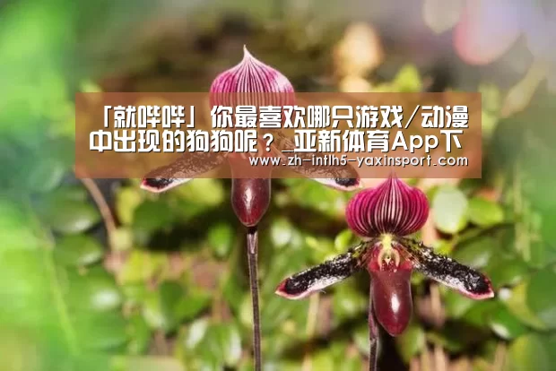  亚新体育手机应用