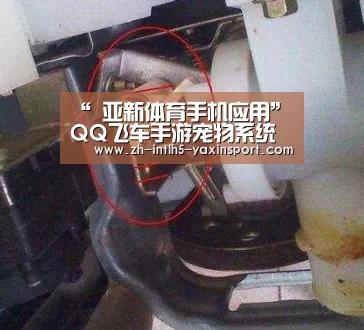 “ 亚新体育手机应用”QQ飞车手游宠物系统曝光 四大萌宠欢乐开跑(图1) 亚新体育手机应用